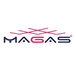 MAGAS - Merger & Acquisition: STANDARD